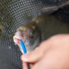 Кукоизваждач с игла Preston Disgorger Baiting Needle - Image 3
