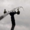 Фидер Matrix Aquos Ultra-D Feeder Rods 3.70m 80g - Image 13
