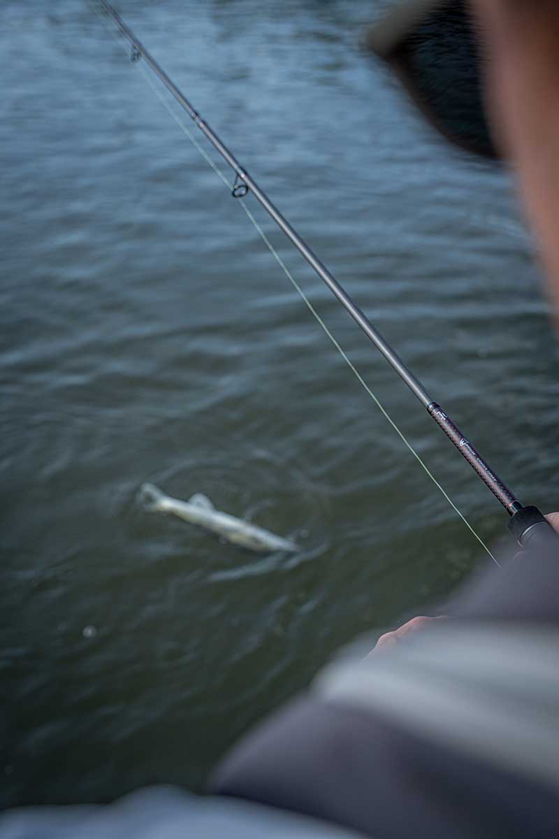 Спининг Fox Rage Warrior Zander Jigger 2.40m 10-30g - Image 7
